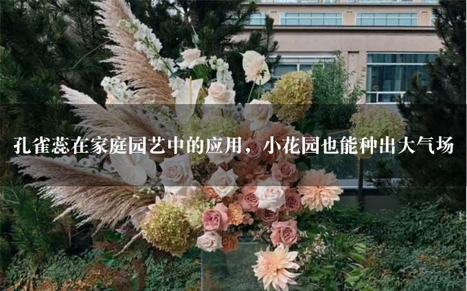 孔雀蕊在家庭园艺中的应用，小花园也能种出大气场