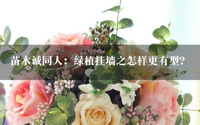 苗木诚同人：绿植挂墙之怎样更有型？