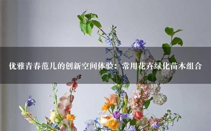 优雅青春范儿的创新空间体验：常用花卉绿化苗木组合