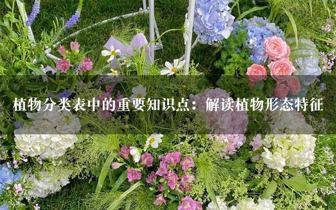 植物分类表中的重要知识点：解读植物形态特征