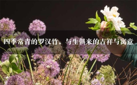 四季常青的罗汉竹，与生俱来的吉祥与寓意