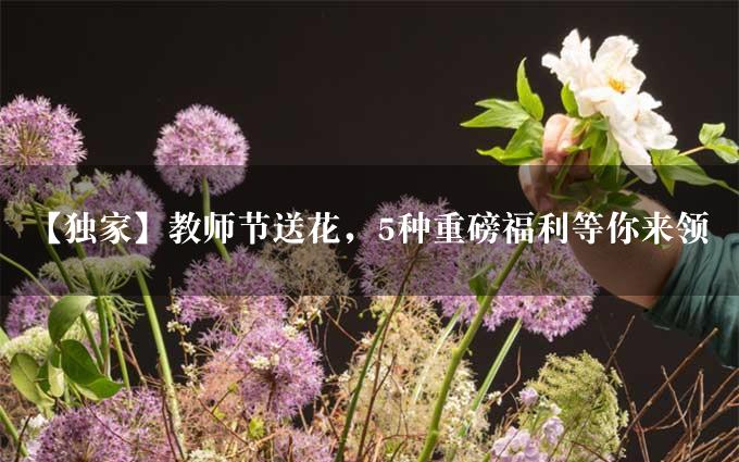 【独家】教师节送花，5种重磅福利等你来领