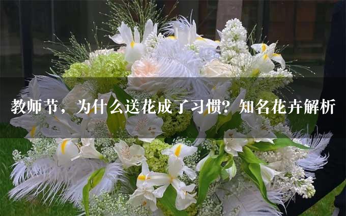 教师节，为什么送花成了习惯？知名花卉解析