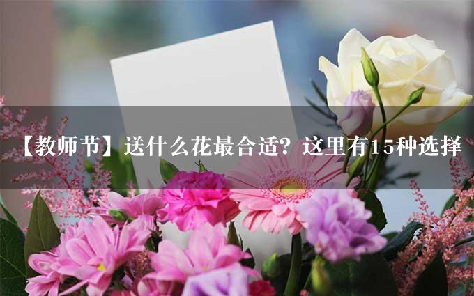 【教师节】送什么花最合适？这里有15种选择