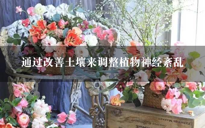 通过改善土壤来调整植物神经紊乱