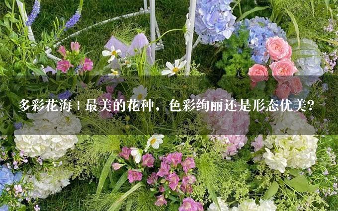 多彩花海 | 最美的花种，色彩绚丽还是形态优美？