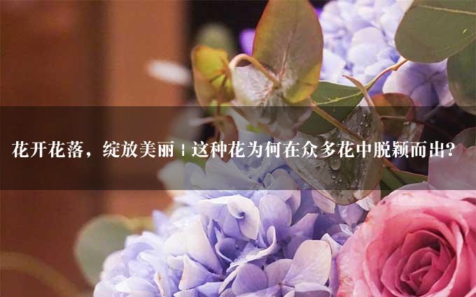 花开花落，绽放美丽 | 这种花为何在众多花中脱颖而出？