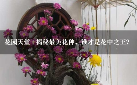 花园天堂 | 揭秘最美花种，谁才是花中之王？