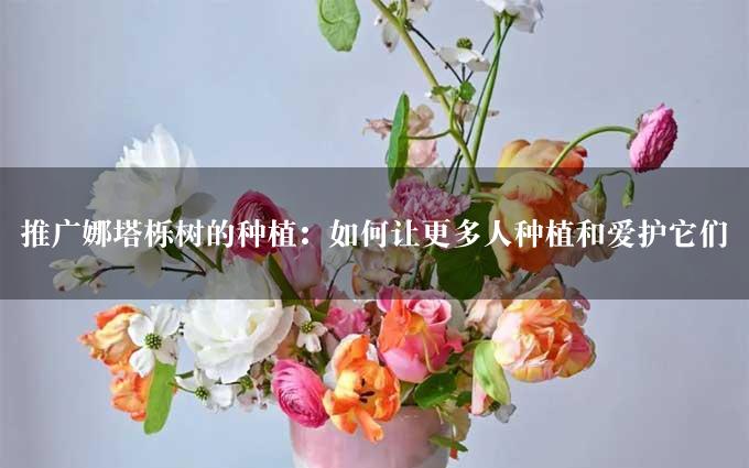 推广娜塔栎树的种植：如何让更多人种植和爱护它们