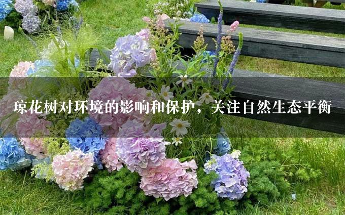 琼花树对环境的影响和保护，关注自然生态平衡