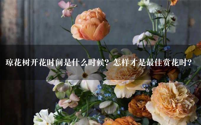 琼花树开花时间是什么时候？怎样才是最佳赏花时？