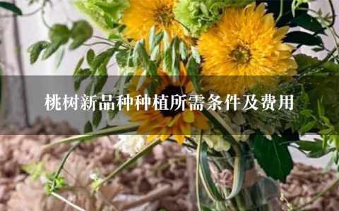 桃树新品种种植所需条件及费用