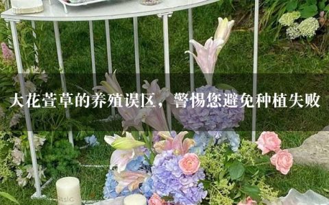 大花萱草的养殖误区，警惕您避免种植失败