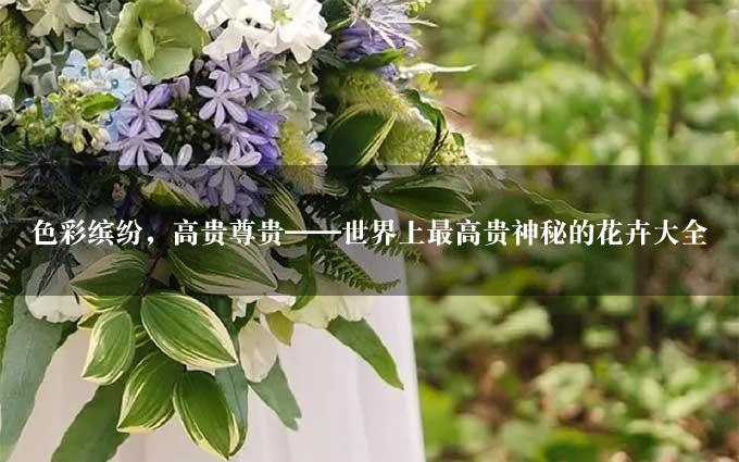 色彩缤纷，高贵尊贵——世界上最高贵神秘的花卉大全