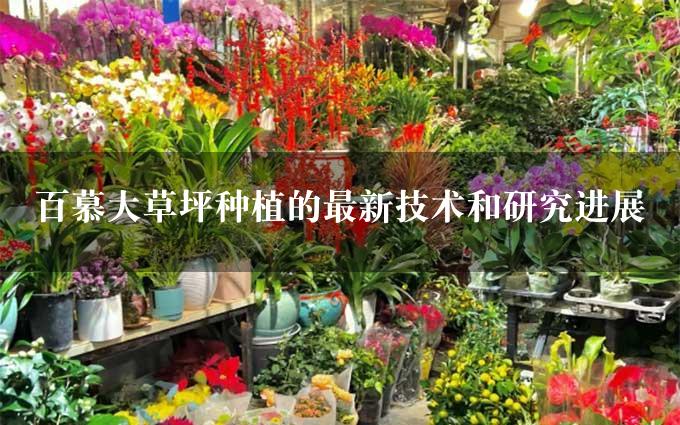 百慕大草坪种植的最新技术和研究进展