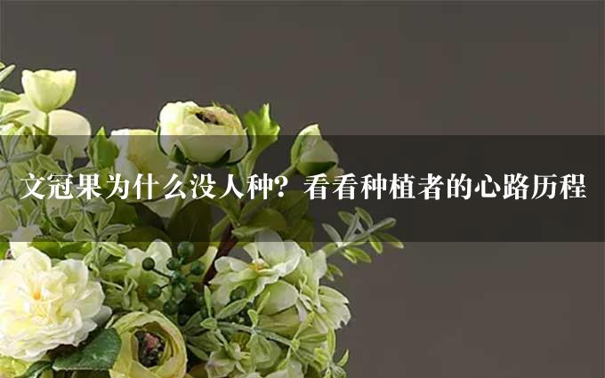 文冠果为什么没人种？看看种植者的心路历程