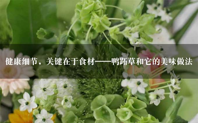 健康细节，关键在于食材——鸭跖草和它的美味做法