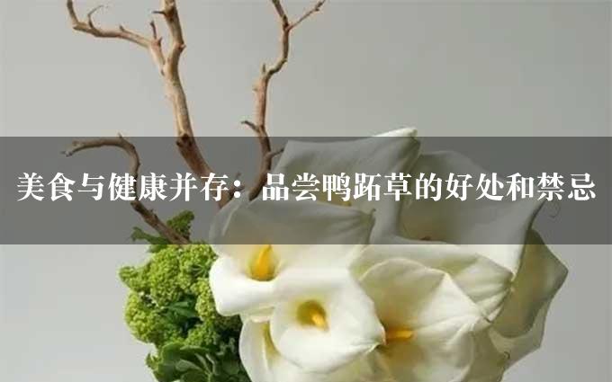 美食与健康并存：品尝鸭跖草的好处和禁忌