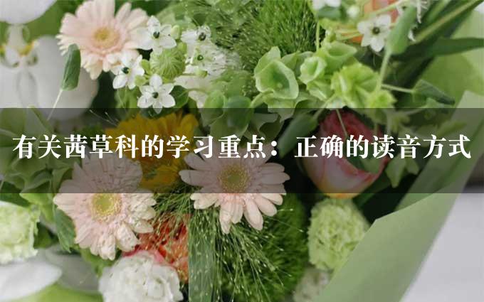 有关茜草科的学习重点：正确的读音方式