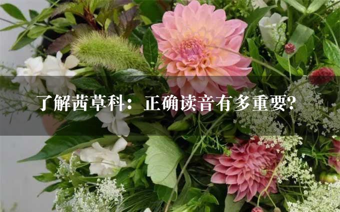 了解茜草科：正确读音有多重要？