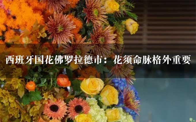 西班牙国花佛罗拉德市：花须命脉格外重要