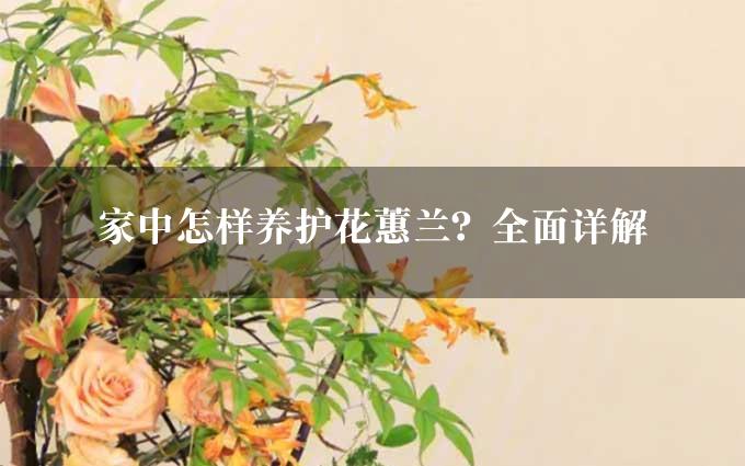 家中怎样养护花蕙兰？全面详解