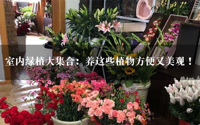 室内绿植大集合：养这些植物方便又美观！