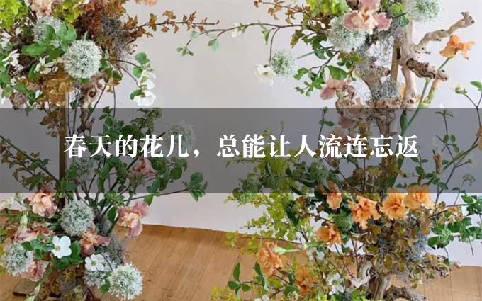 春天的花儿，总能让人流连忘返