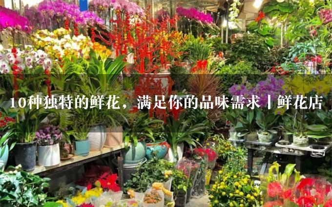 10种独特的鲜花，满足你的品味需求丨鲜花店