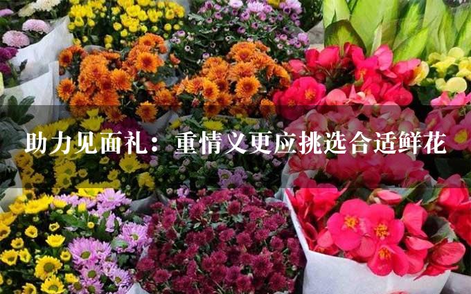 助力见面礼：重情义更应挑选合适鲜花