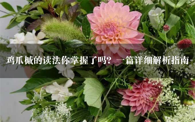 鸡爪槭的读法你掌握了吗？一篇详细解析指南