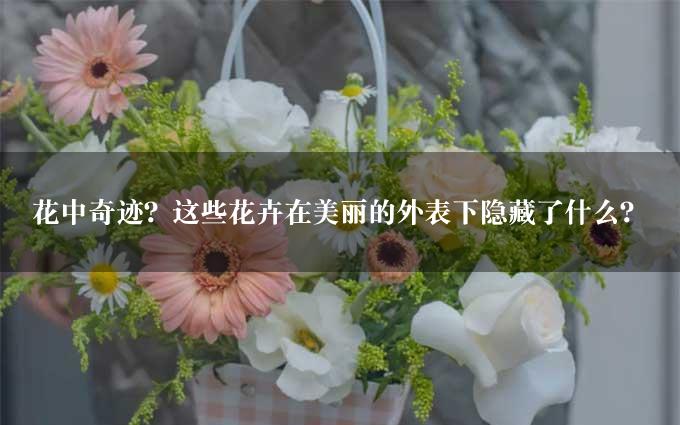 花中奇迹？这些花卉在美丽的外表下隐藏了什么？