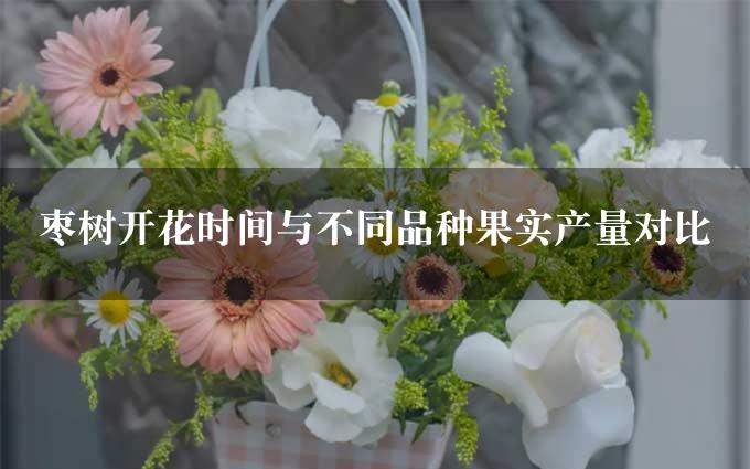 枣树开花时间与不同品种果实产量对比