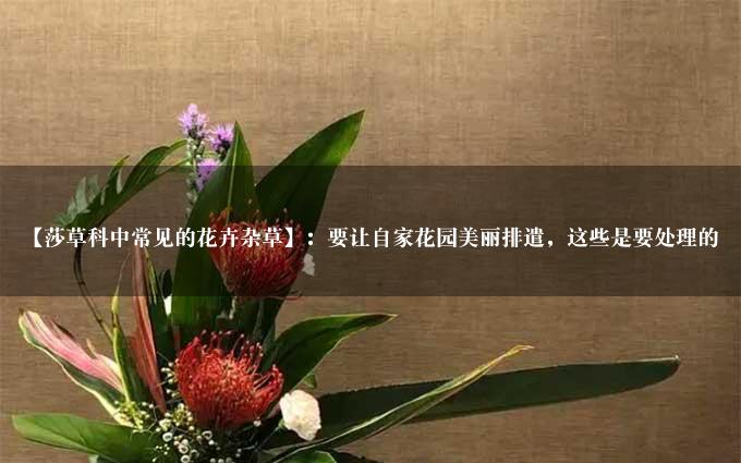 【莎草科中常见的花卉杂草】：要让自家花园美丽排遣，这些是要处理的