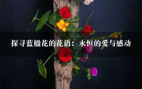 探寻蓝楹花的花语：永恒的爱与感动