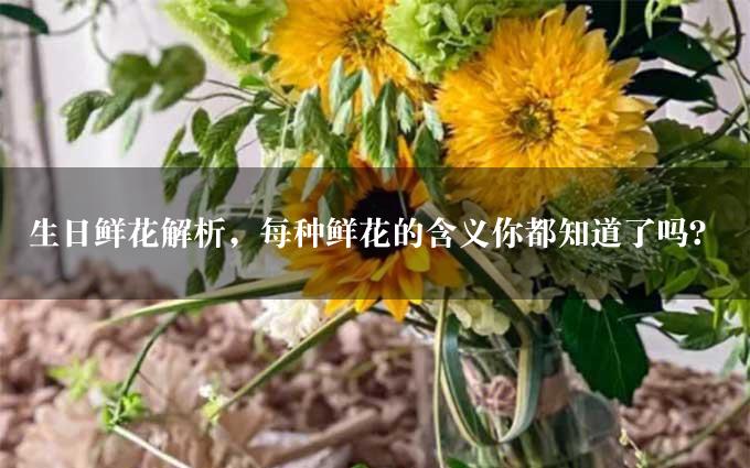 生日鲜花解析，每种鲜花的含义你都知道了吗？