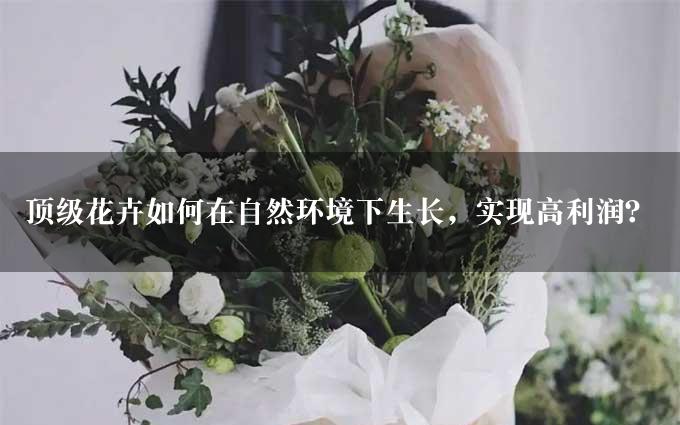 顶级花卉如何在自然环境下生长，实现高利润？