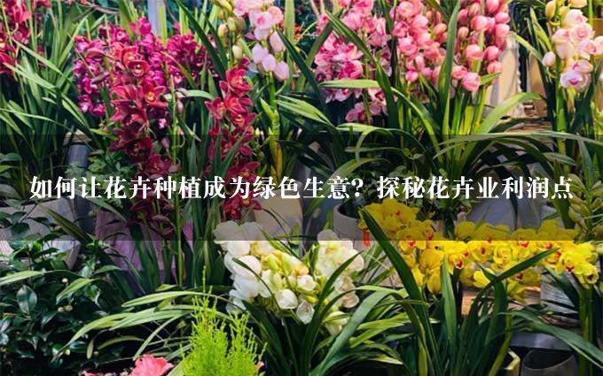 如何让花卉种植成为绿色生意？探秘花卉业利润点