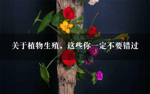 关于植物生殖，这些你一定不要错过