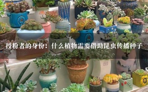 授粉者的身份：什么植物需要借助昆虫传播种子