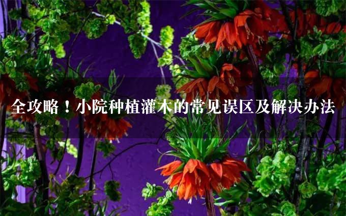 全攻略！小院种植灌木的常见误区及解决办法