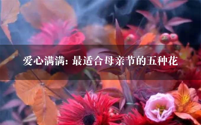 爱心满满: 最适合母亲节的五种花