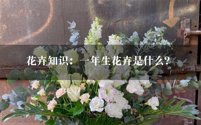 花卉知识：一年生花卉是什么？