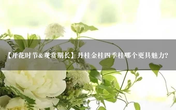 【开花时节&观赏期长】丹桂金桂四季桂哪个更具魅力？