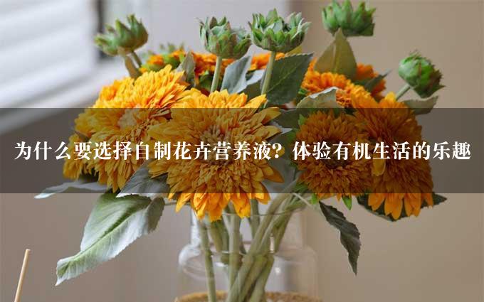 为什么要选择自制花卉营养液？体验有机生活的乐趣