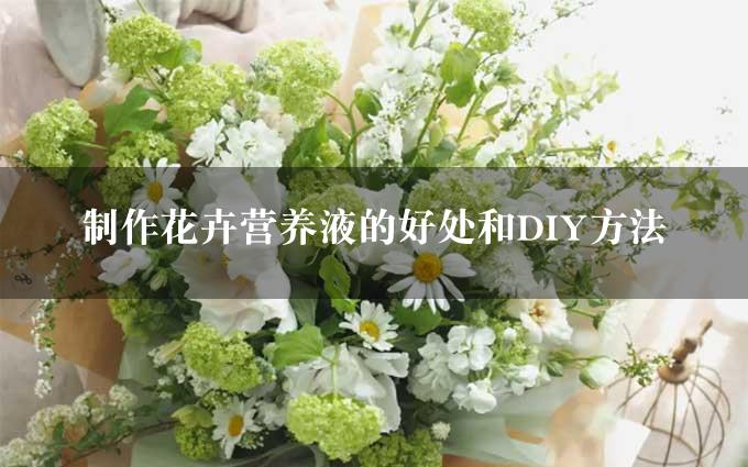 制作花卉营养液的好处和DIY方法