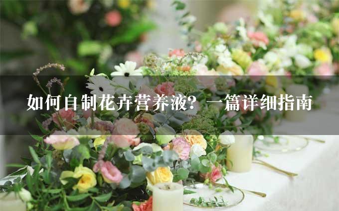 如何自制花卉营养液？一篇详细指南