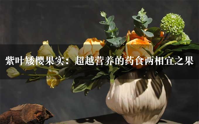 紫叶矮樱果实：超越营养的药食两相宜之果