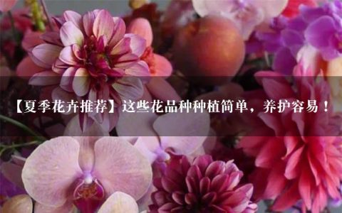 【夏季花卉推荐】这些花品种种植简单，养护容易！