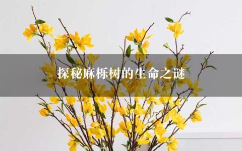 探秘麻栎树的生命之谜